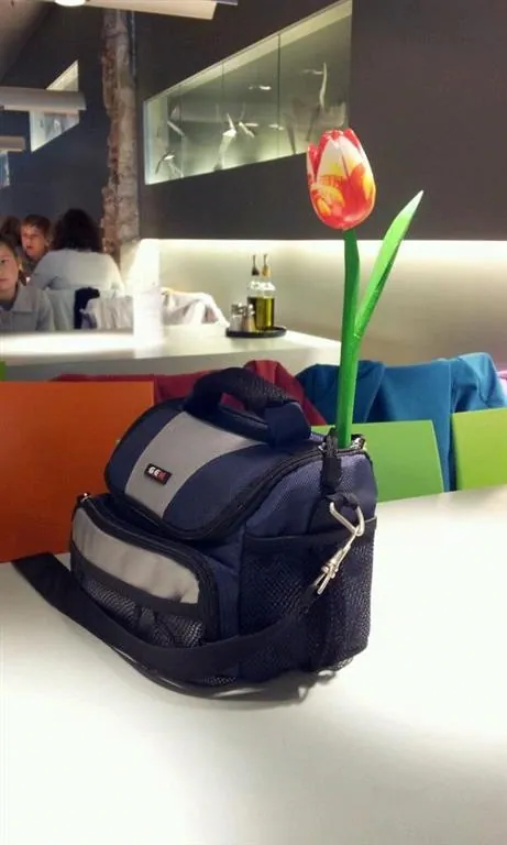 Brugges day trip symbols 